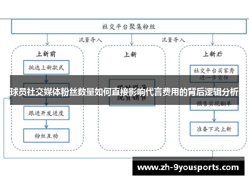 球员社交媒体粉丝数量如何直接影响代言费用的背后逻辑分析 球员社交媒体粉丝数量如何直接影响代言费用的背后逻辑分析