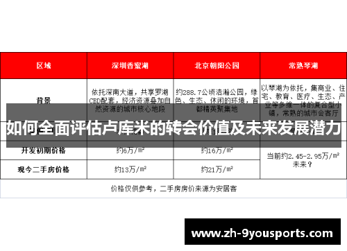 如何全面评估卢库米的转会价值及未来发展潜力